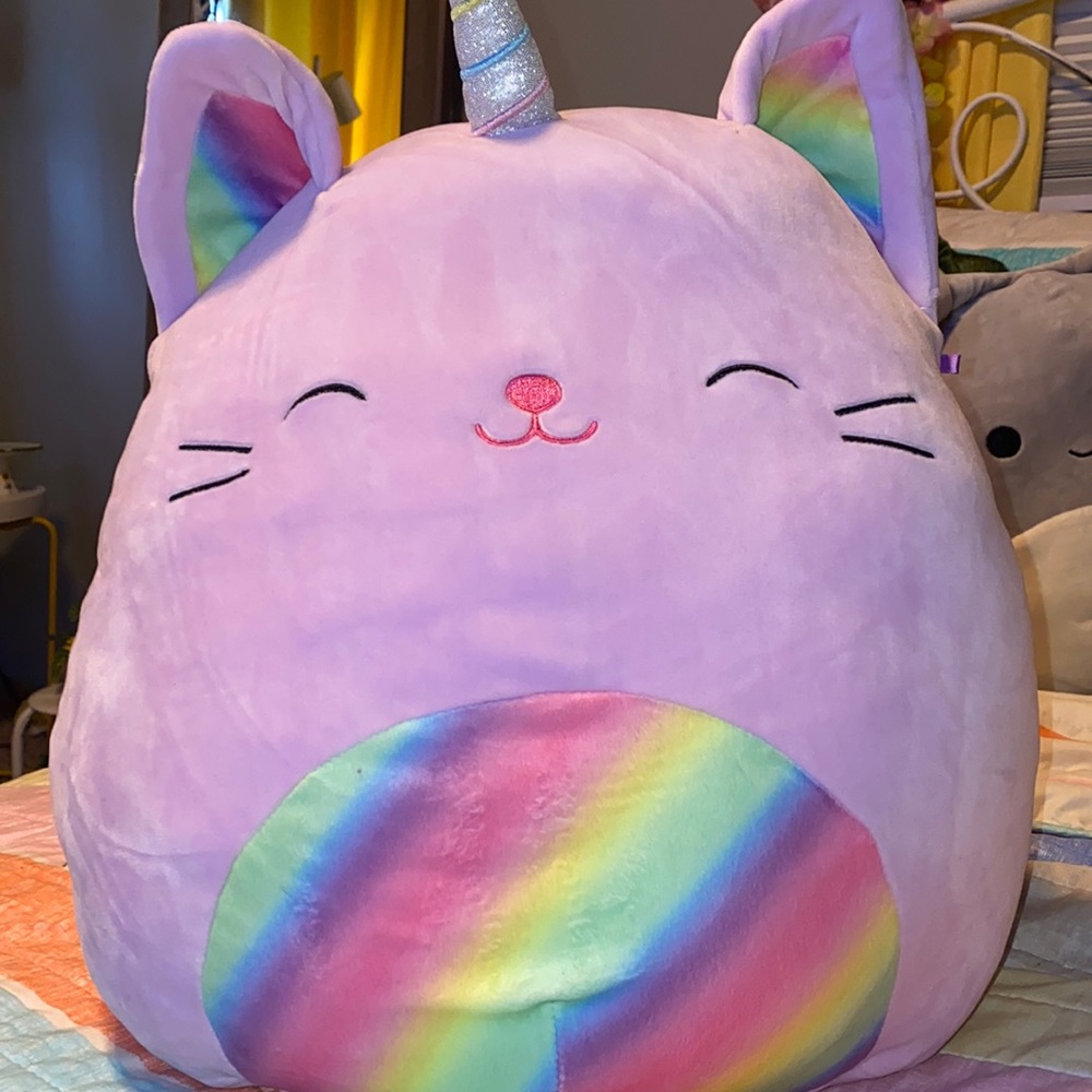 Cienna squishmellow